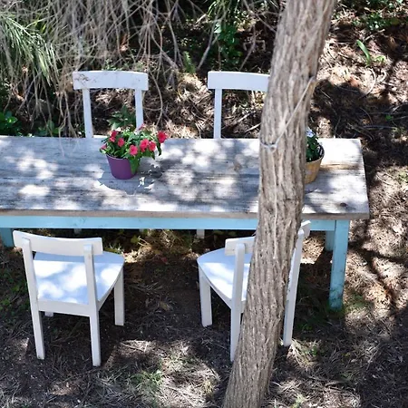 Osala Holiday home
